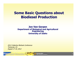 Some Basic Questions about Biodiesel Production