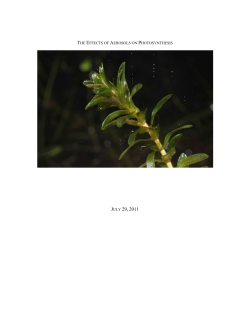 Aerosols and Photosynthesis - Frostburg State University