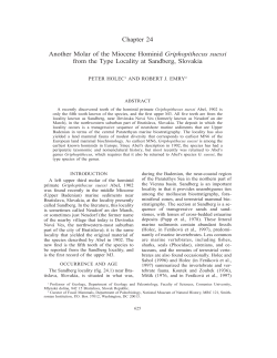Chapter 24 Another Molar of the Miocene Hominid Griphopithecus