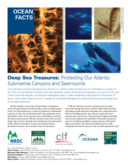 Deep Sea Treasures: Protecting Our Atlantic Submarine Canyons