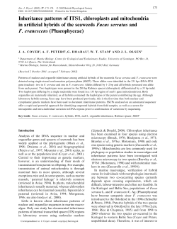 Inheritance patterns of ITS1, chloroplasts and mitochondria in