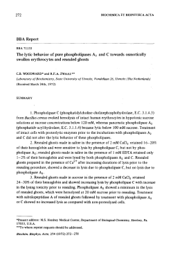 BBA Report The lytic behavior of pure phospholipases A2 and C