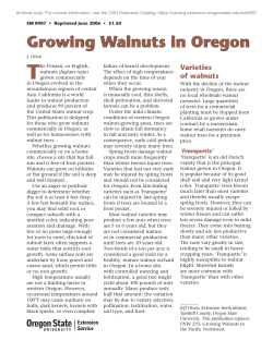 Growing Walnuts in Oregon, EM 8907 (Oregon State University