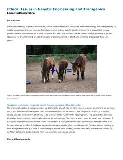 Ethical Issues in Genetic Engineering and Transgenics