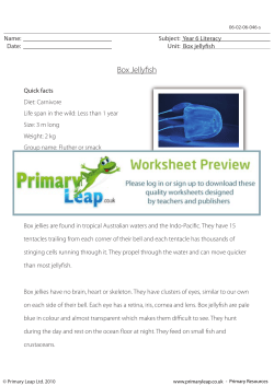 Reading comprehension - Box jellyfish