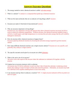Enzyme Review Questions