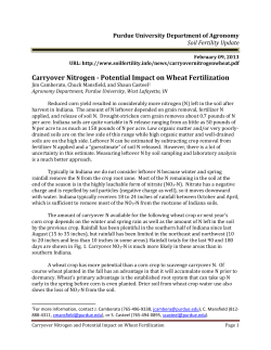 Carryover Nitrogen - Potential Impact on Wheat
