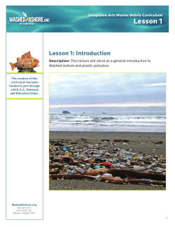 Lesson 1 - Washed Ashore