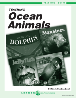 Teaching Ocean Animals