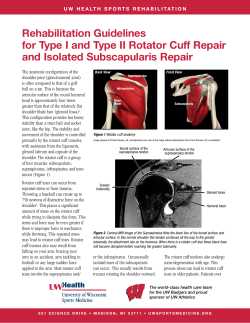 Rehabilitation Guidelines for Type I and Type II Rotator