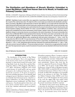 The Distribution and Abundance of Mussels (Bivalvia: Unionidae) in