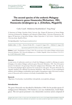 The second species of the endemic Malagasy earthworm genus