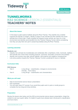 teachers` notes