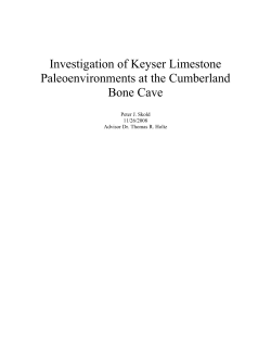 Investigation of Keyser Limestone Paleoenvironments