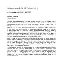 Avocados in Ancient Greece