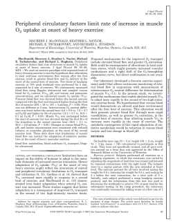 Peripheral circulatory factors limit rate of increase in muscle O2