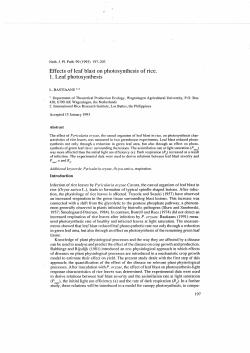 Effects of leaf blast on photosynthesis of rice. 1. Leaf photosynthesis