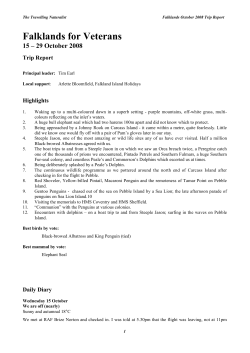Falklands vets08 - The Travelling Naturalist