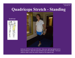 Quadriceps Stretch - Standing Quadriceps