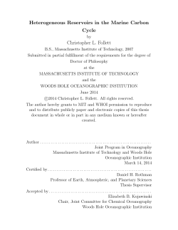 Heterogeneous Reservoirs in the Marine Carbon Cycle Christopher