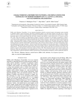 characteristics, distribution patterns, and implications for ichnology
