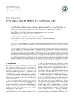 Crop Depredation by Birds in Deccan Plateau, India