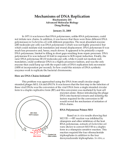 Mechanisms of DNA Replication