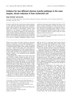Evidence for two different electron transfer pathways in the same