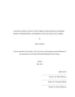 Marcus Daniels Thesis - University of Mississippi
