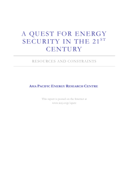 A Quest for Energy Security in the 21st Century (2007)