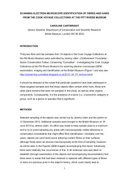 Plant Fibre Identification Report