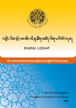 noun - Dzongkha Development Commission