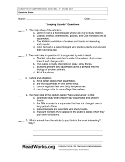 Leaping Lizards QUESTIONS Leaping Lizards Questions