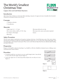 The World`s Smallest Christmas Tree