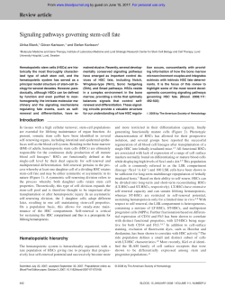 Signaling pathways governing stem-cell fate