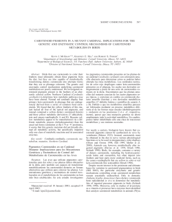 carotenoid pigments in a mutant cardinal
