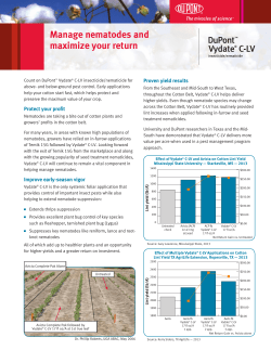 Manage nematodes and maximize your return