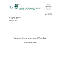INVESTMENT STRATEGY REVIEW OF THE GEF TRUST FUND