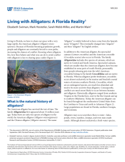 Living with Alligators - EDIS