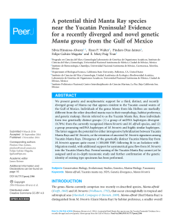 A potential third Manta Ray species near the Yucat&aacute;n Peninsula
