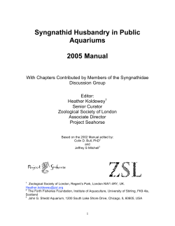 Syngnathid Husbandry in Public Aquariums 2005 Manual
