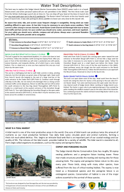 Sedge Islands Marine Conservation Zone Water Trail brochure