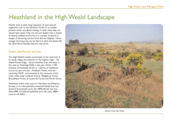 Heathland in the High Weald Landscape