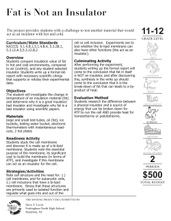 Fat is Not an Insulator