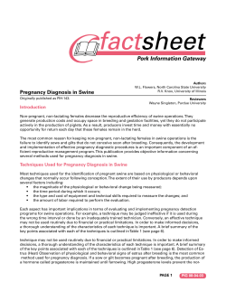 Pregnancy Diagnosis in Swine