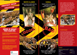 HERE IS WHAT YOU CAN DO