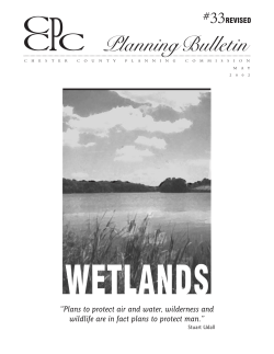 Planning Bulletin # 33, Wetlands