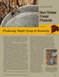 Producing Maple Syrup in Kentucky
