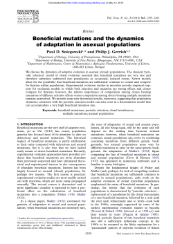 Beneficial mutations and the dynamics of adaptation in