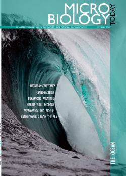 PDF - Microbiology Society